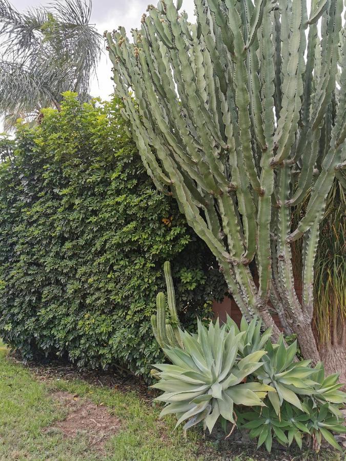 Villa Grande Messina Dış mekan fotoğraf
